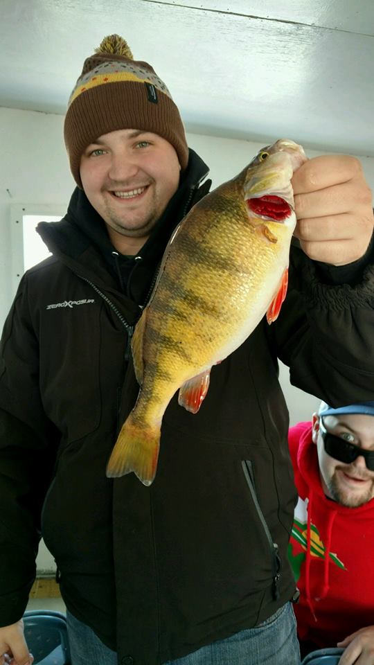 Day house big perch