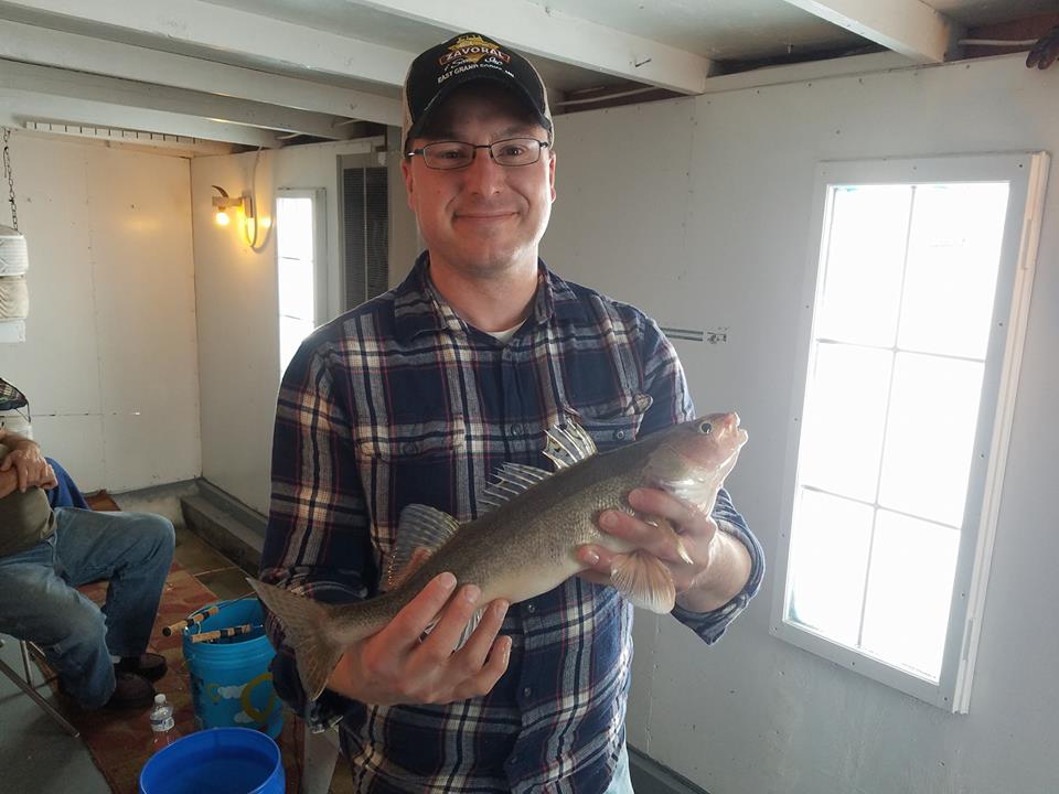 Ingman sauger