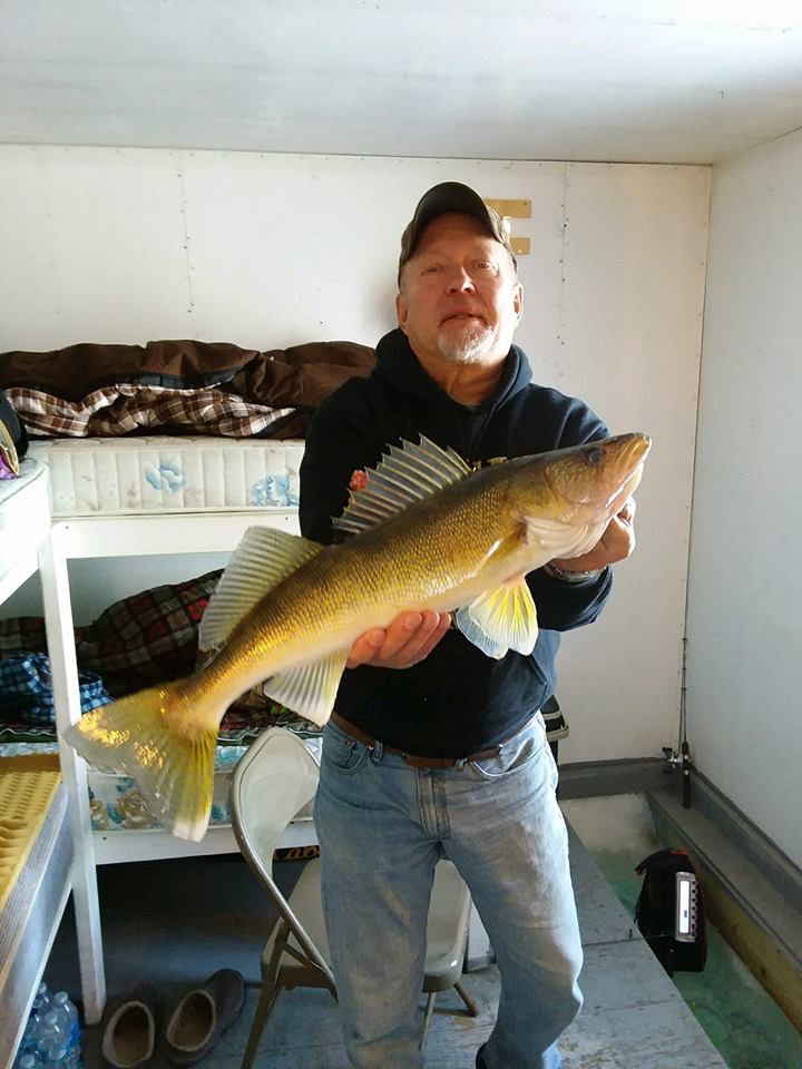 Beauty Walleye