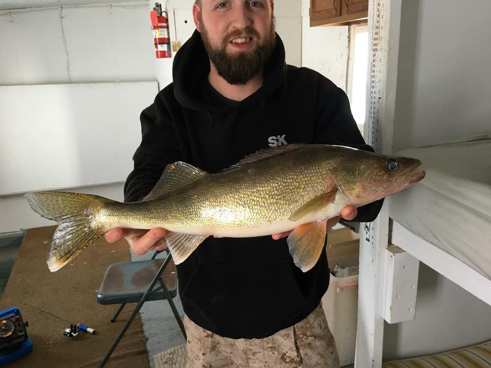 House 8 Walleye