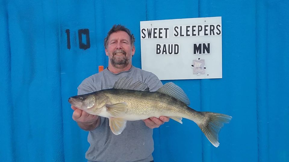 Koening 26 Inch Walleye