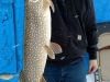 Day House Pike